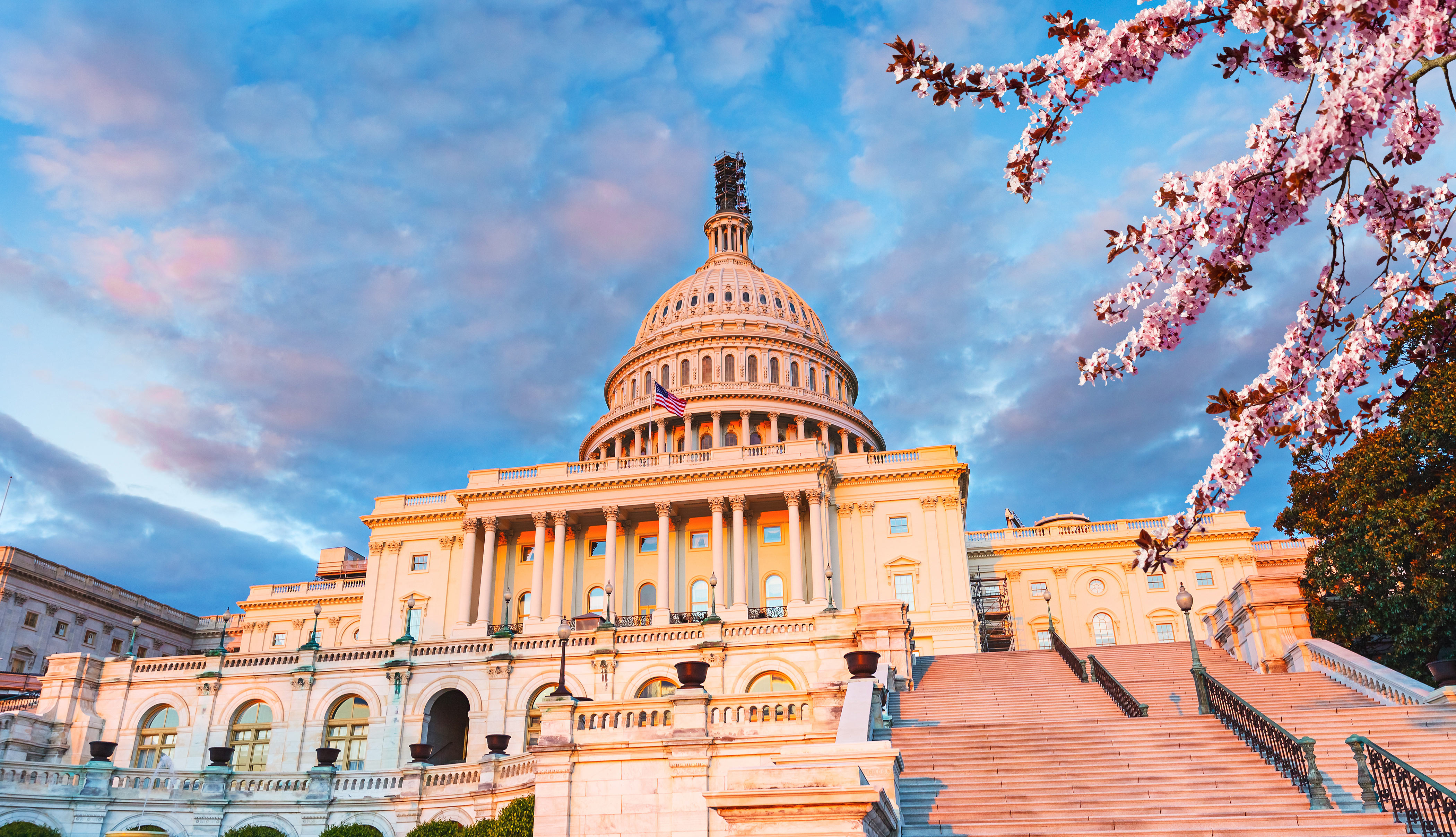 The Washington Academy of Political Arts and Sciences - Napolitan Victory Awards
