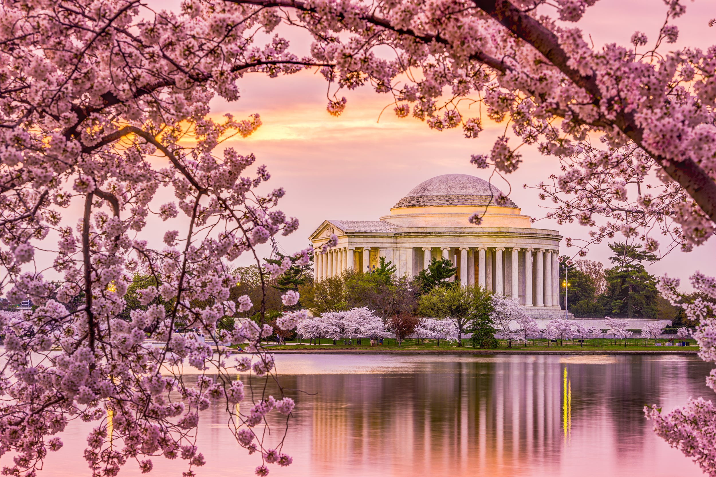 The Washington Academy of Political Arts and Sciences - Napolitan Victory Awards